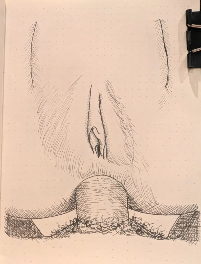 Day 26 - Close-up anal