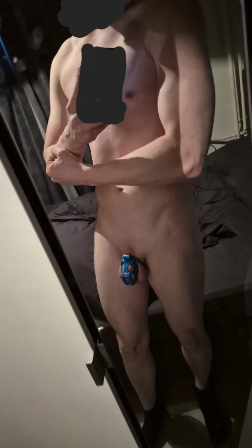 Day 3/21 of staying chaste for gym motivation Hit back, bicep and shoulders today