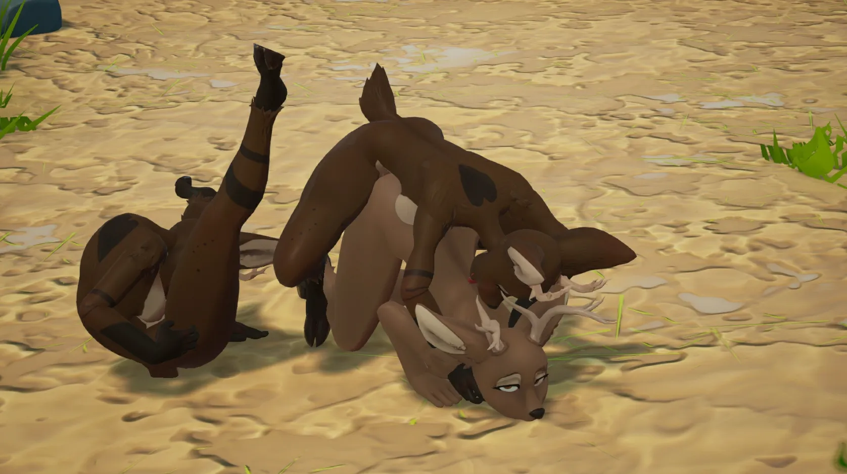 Deer party.  (Sapphire Safari)