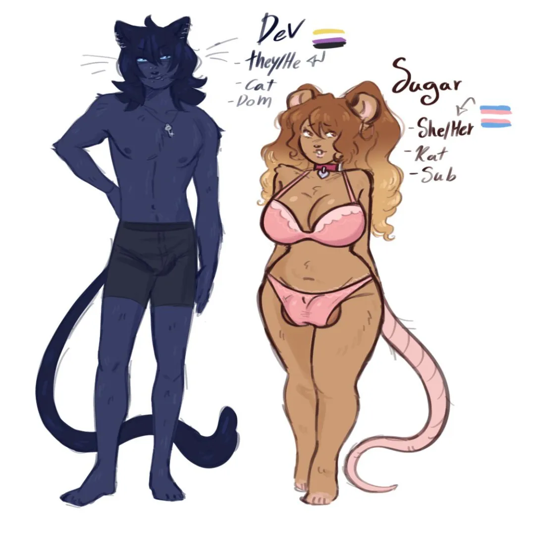 Dev and Sugar ref sheet