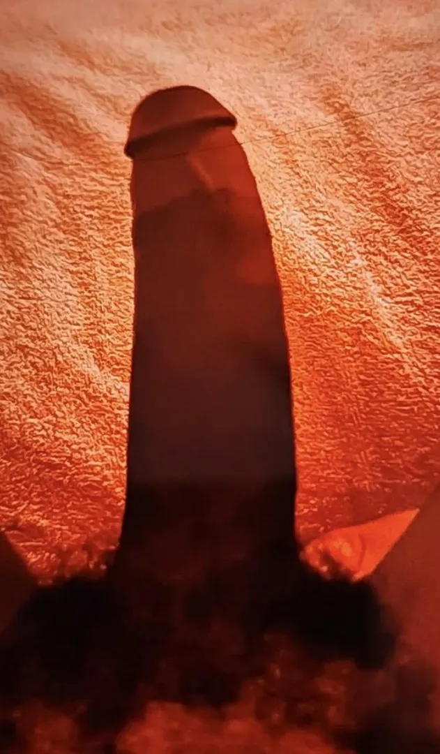 Dick so hard who’s free and hosting in the morning