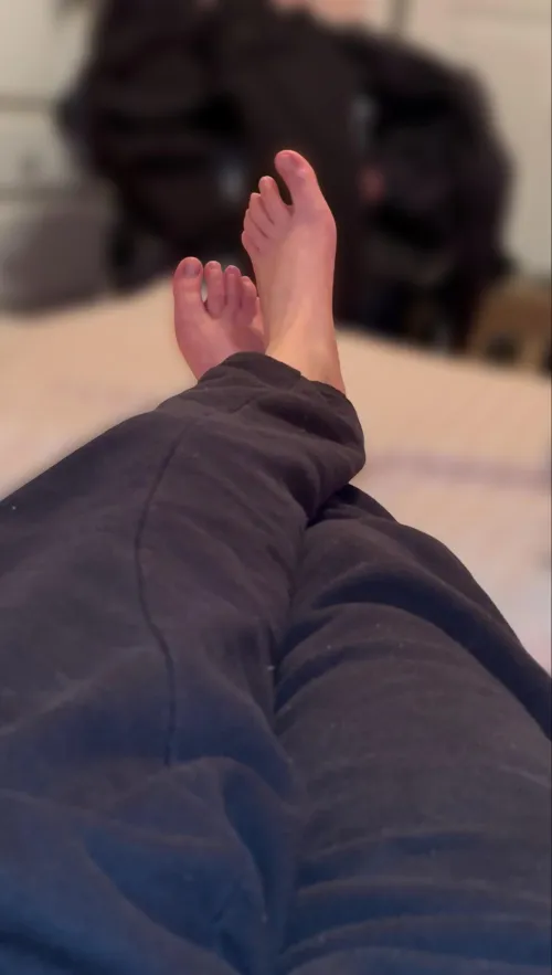 did my tiny feet get your attention?