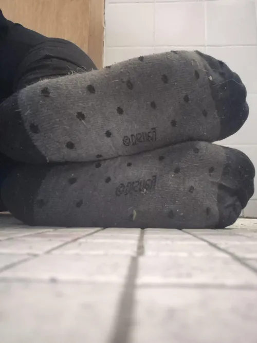 Dirty grey [F]