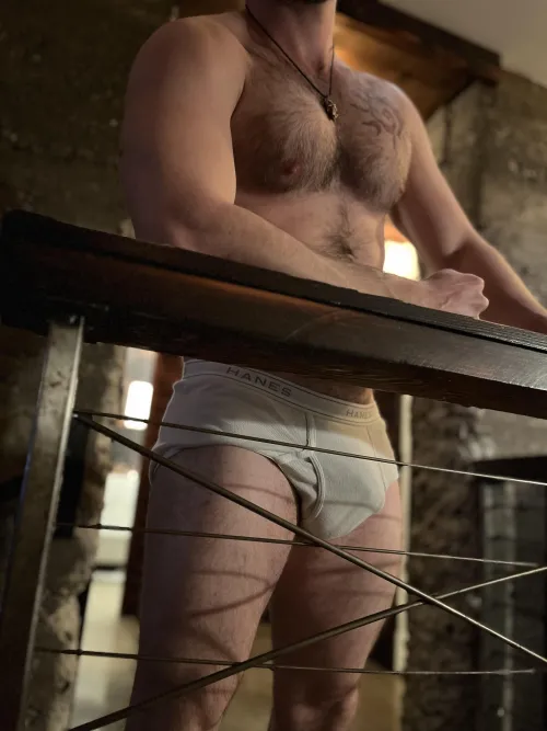 Do I fit the brief here?