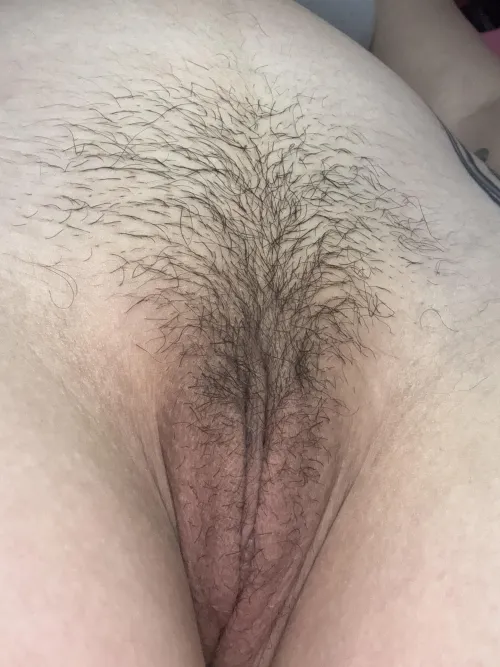 Do you like my natural bush?