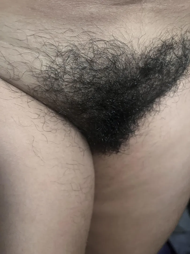 Do you like this bush??? <3