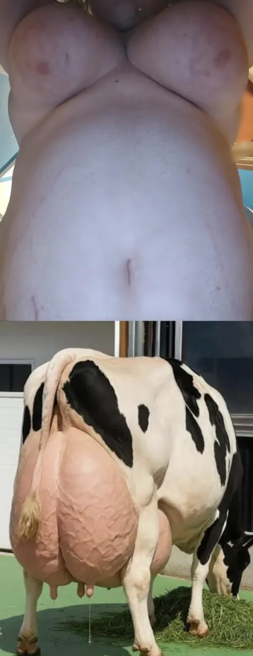 Do you see any difference?