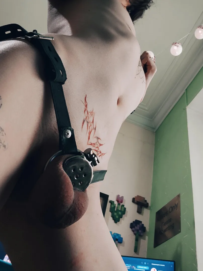 Do you think my cute caged cock is attractive?