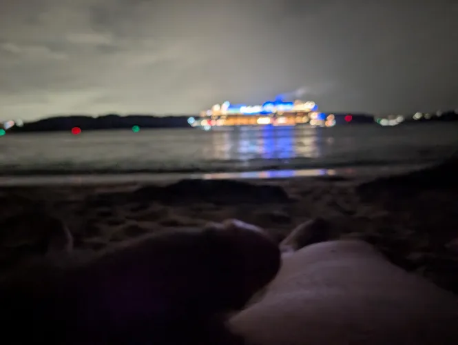 Do you think the cruise passengers liked the view of my soft cock?