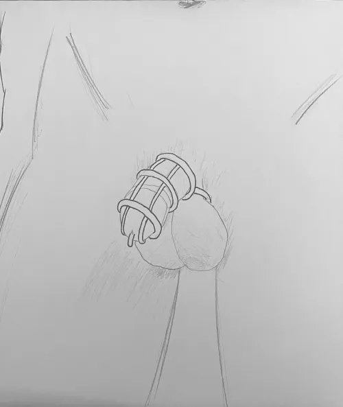 Does a cage like this exist?