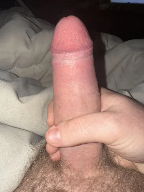 Does it deserve pussy