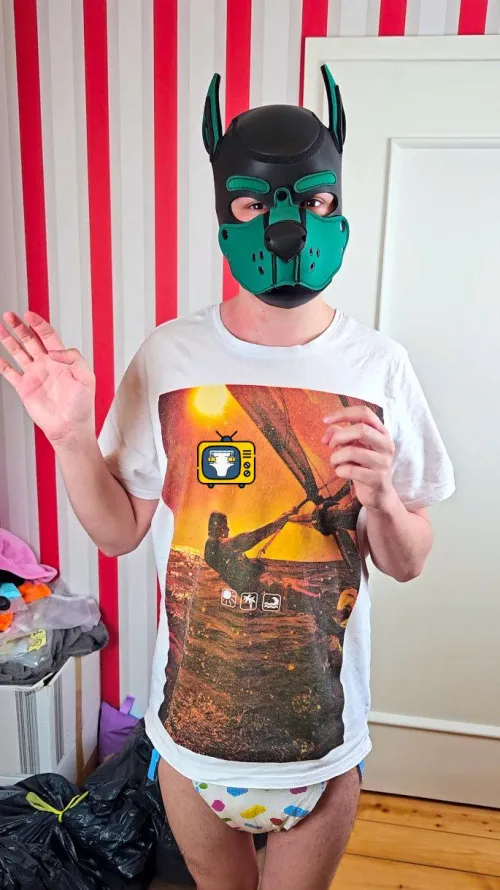 Does this padded dog deserve a reward? 