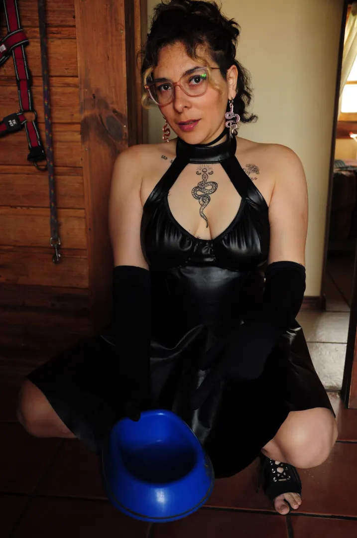 Doggie, your food is ready.