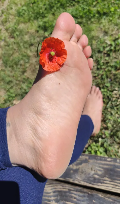Don’t bring me flowers. Worship what’s beneath them… my dirty feet deserve your Valentine’s tribute.