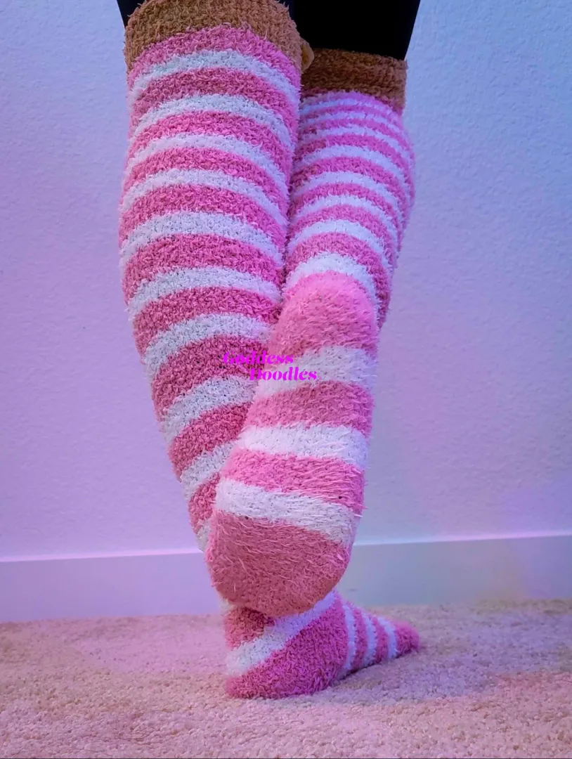 Don't my long fuzzy socks look yummy?