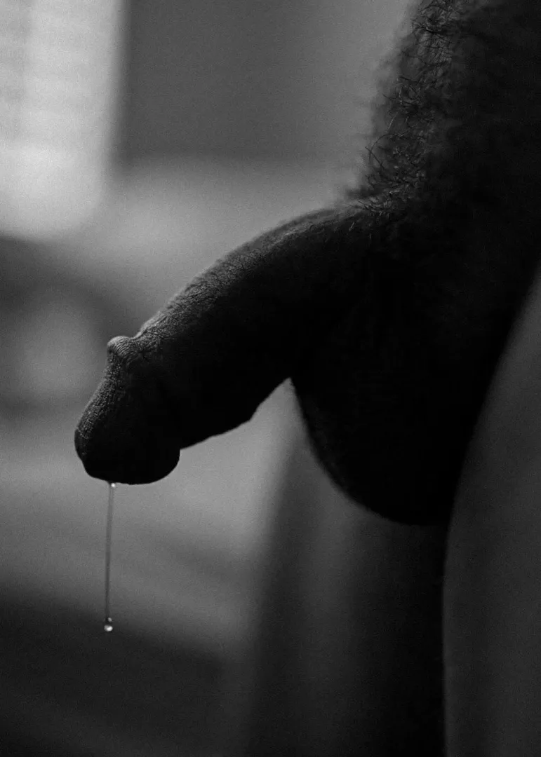 Drippy  self portrait