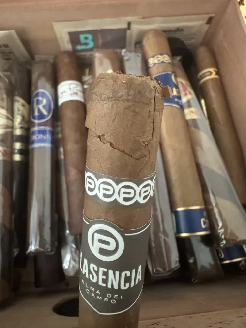 Effects of a cheap cutter on a premium cigar :(