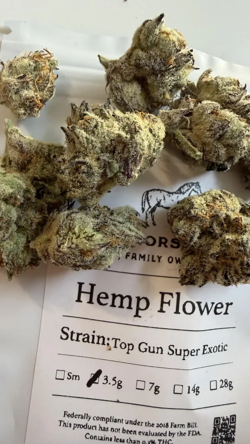 EHH - Top Gun Super Exotics