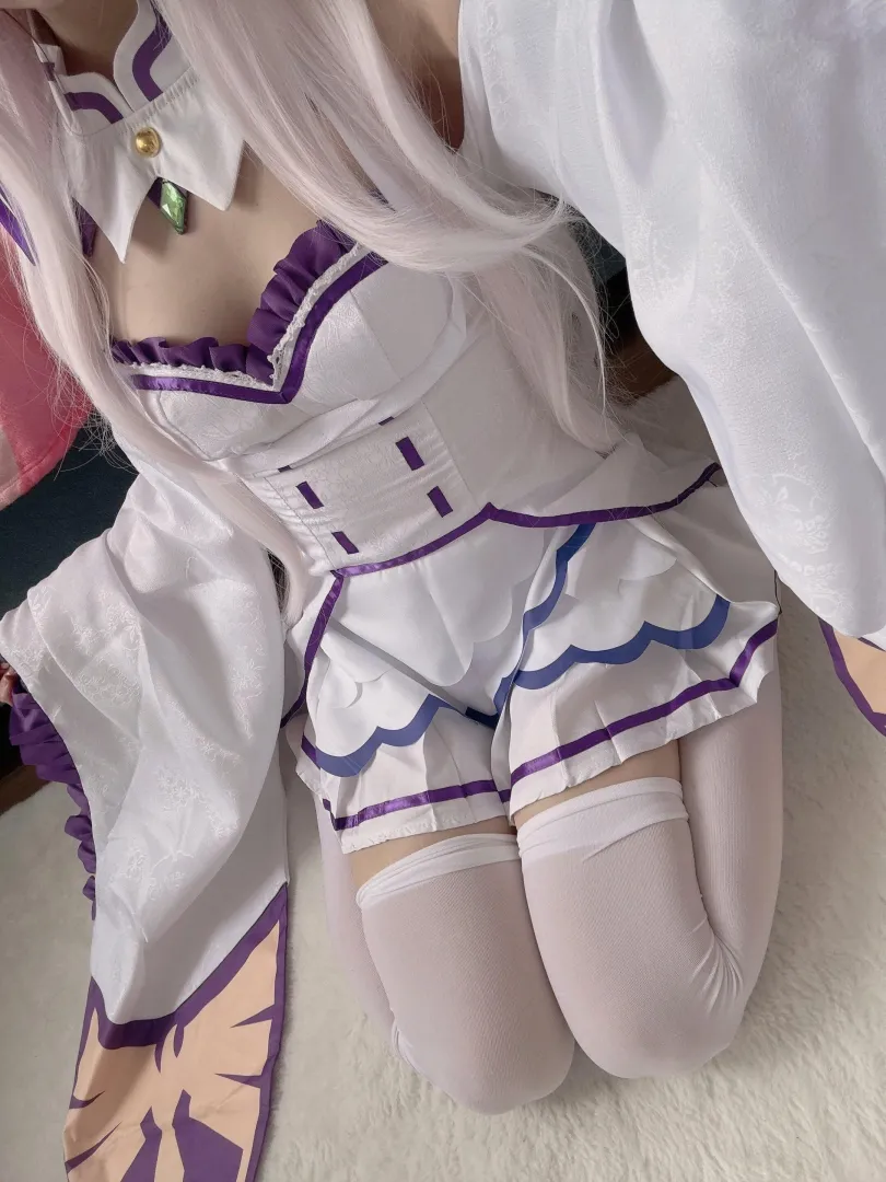 Emilia [Rezero] by (Lily)