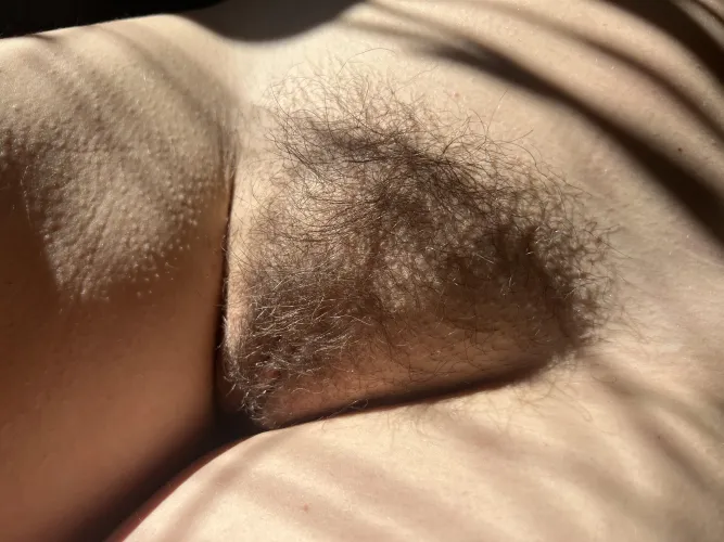 Enjoying the warm afternoon sun