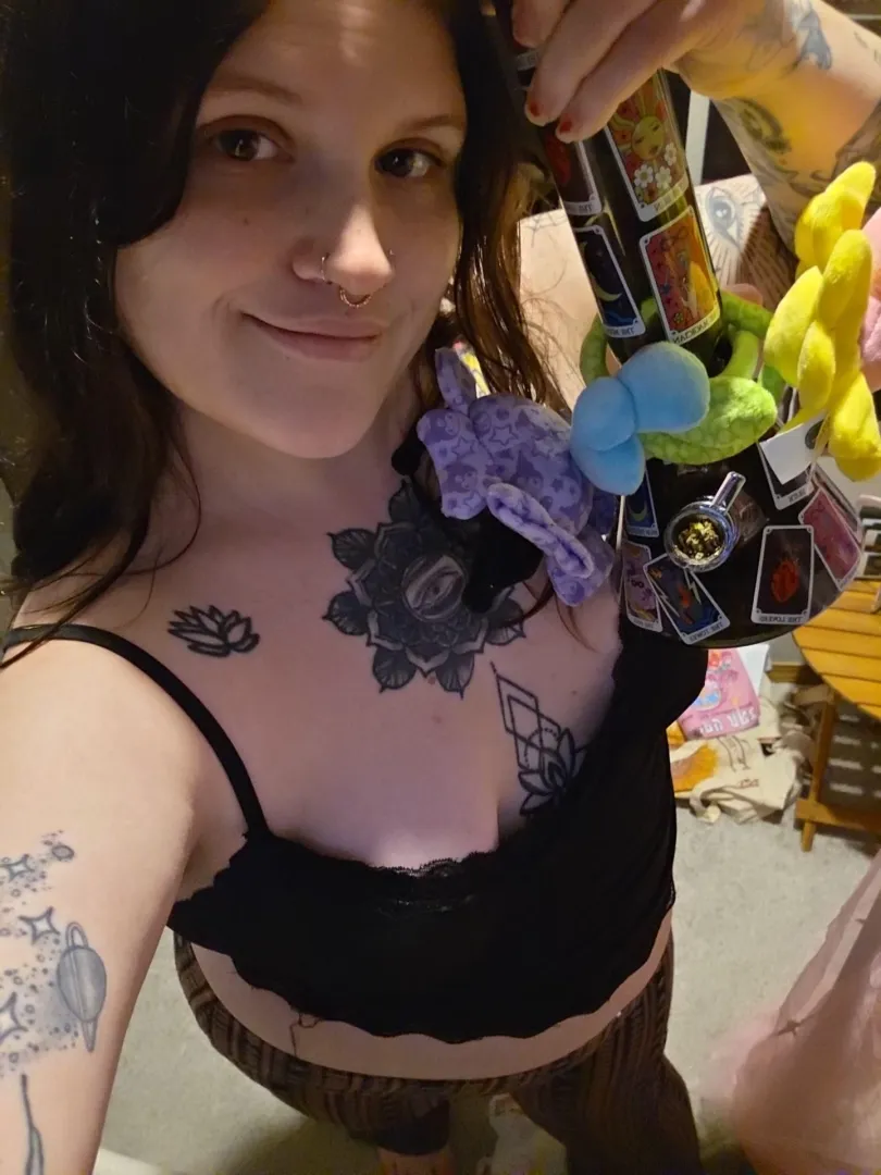 Evening gooners and stoners