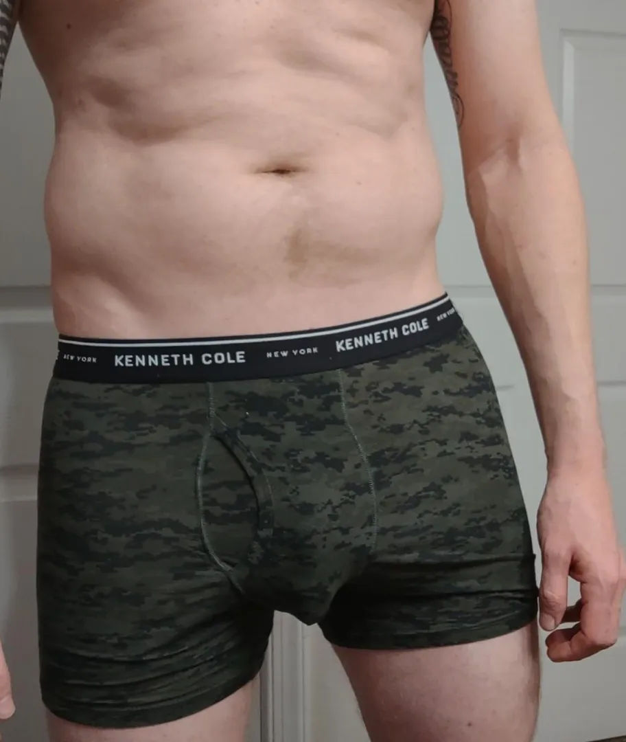 Experienced Breeder Bull in CO