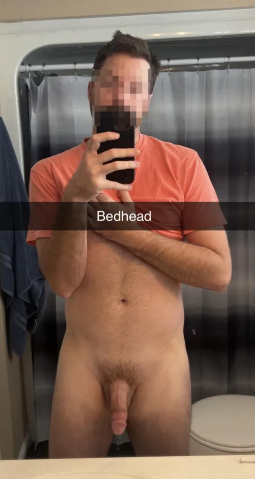 Experienced Bull for hotwife; Bham, HSV, Tuscaloosa