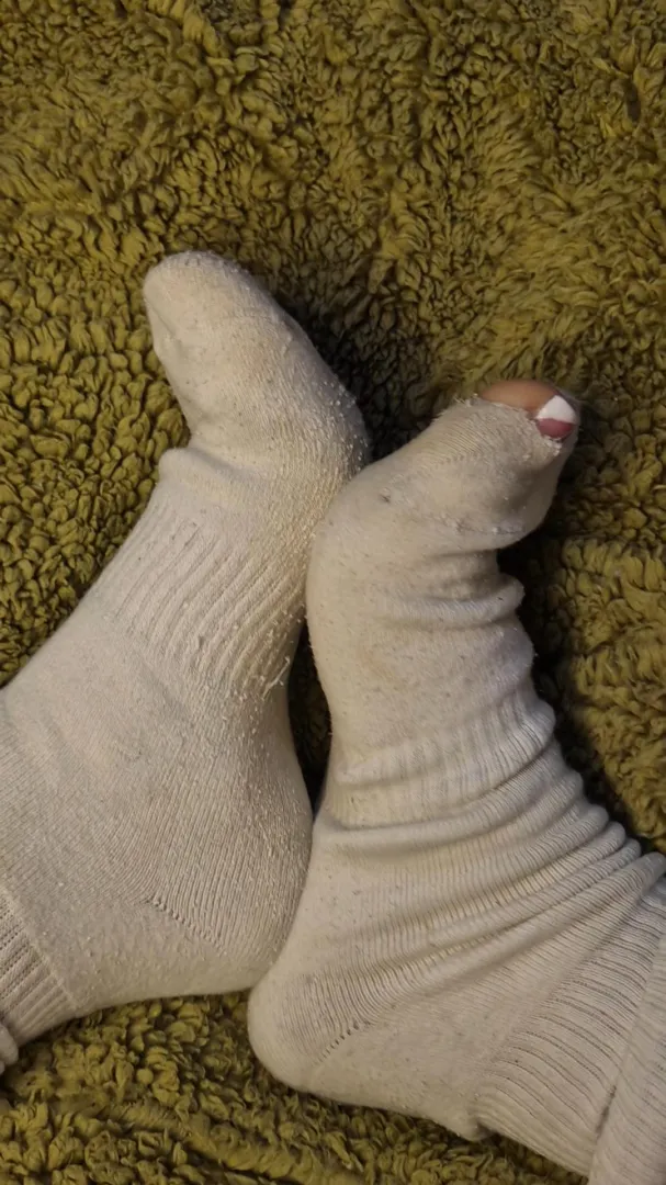 [F] eat my smelly socks loser