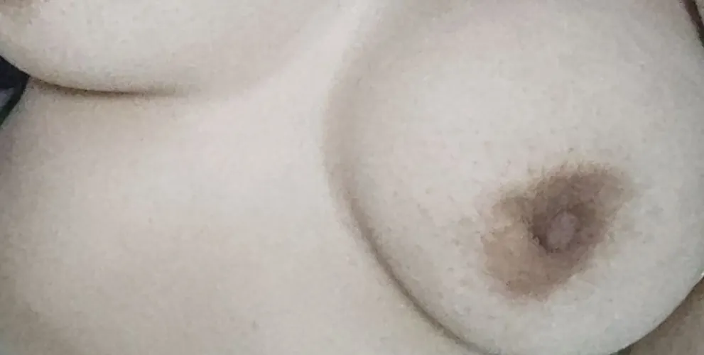 [F] Oopss. They're saying hi.