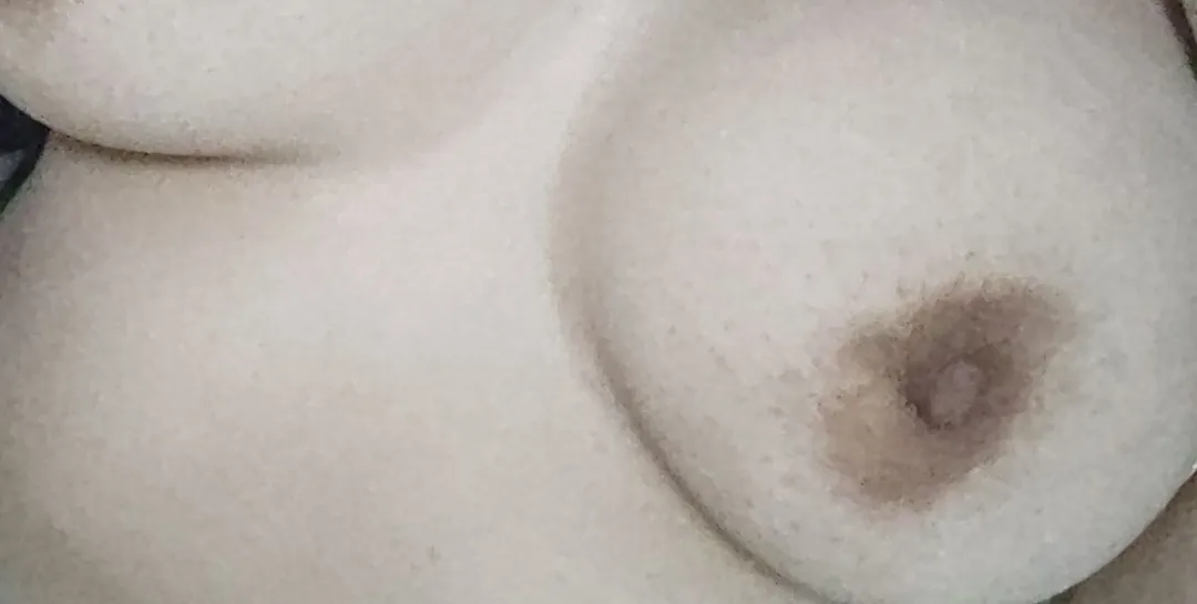 [F] Oopss. They're saying hi.