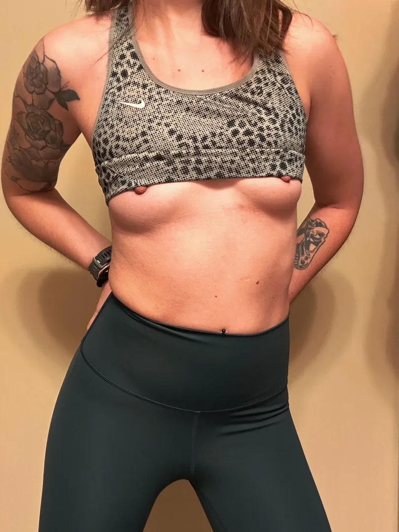 F27M37 4 F/MF queenstown