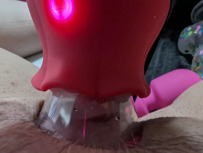 F4M Denver. Lick and suck me. I need the real thing