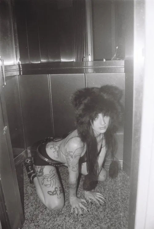 F4M Free for fun tonight, had too much champagne today lnstgrm: //lunarumes,.