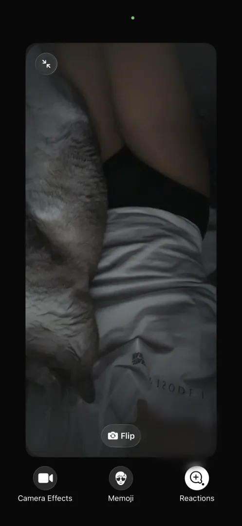 (F)aceTime and something mild