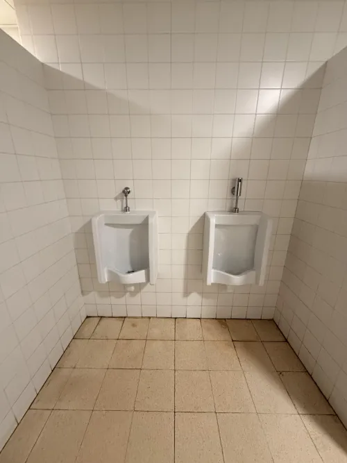 Faculty of Sciences of the University of Lisbon