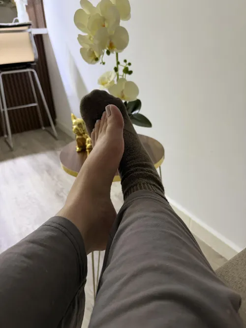 Fetish friendly seller [cam] [sext] [vids] [pics] [gfe] and premades xoxo