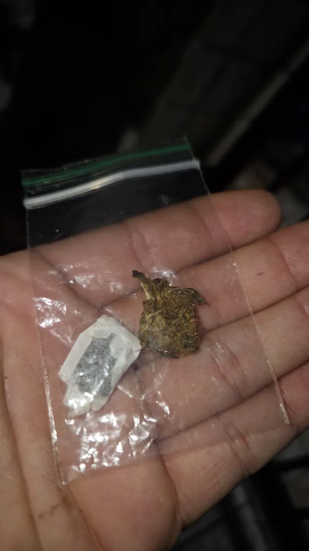 Finin pós expediente