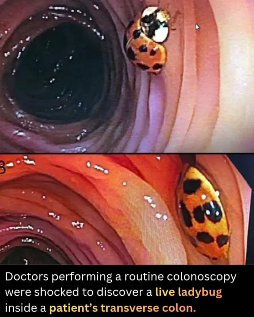 First Known Photograph of Adam