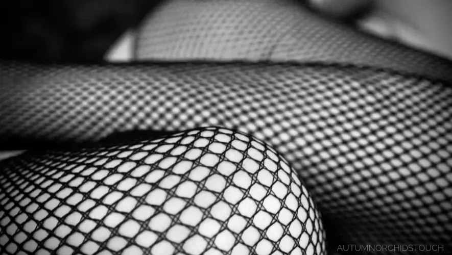 fishnets 