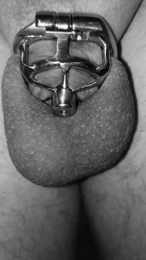 Flat cage. No relief.