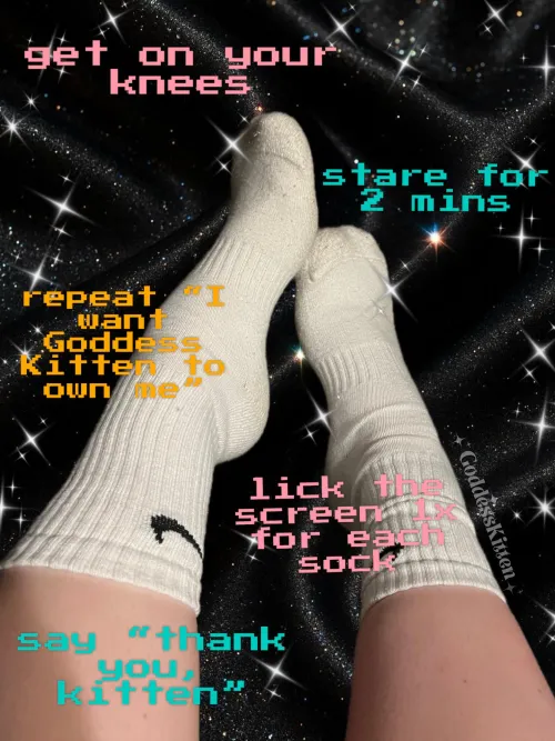 Follow all instructions…