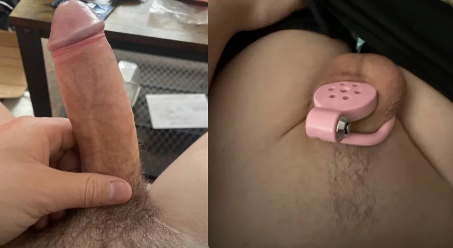 For those who think flat cages won’t fit…