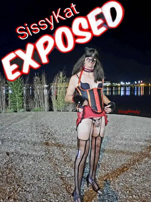 Forced into the light