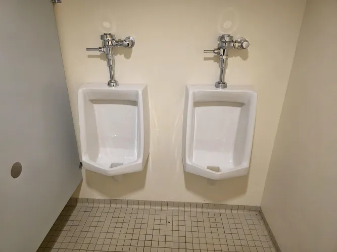 From a NY State Park