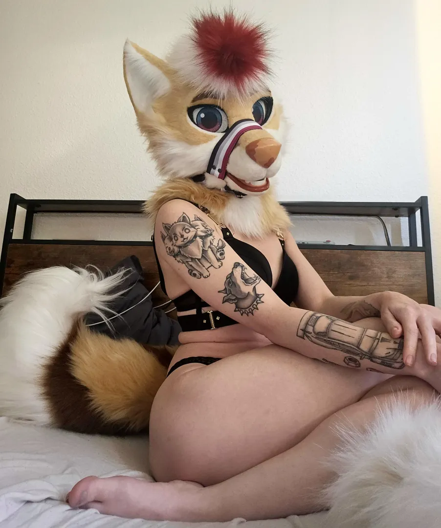 Fursuitfriday ♡ [MerciRox - Me]