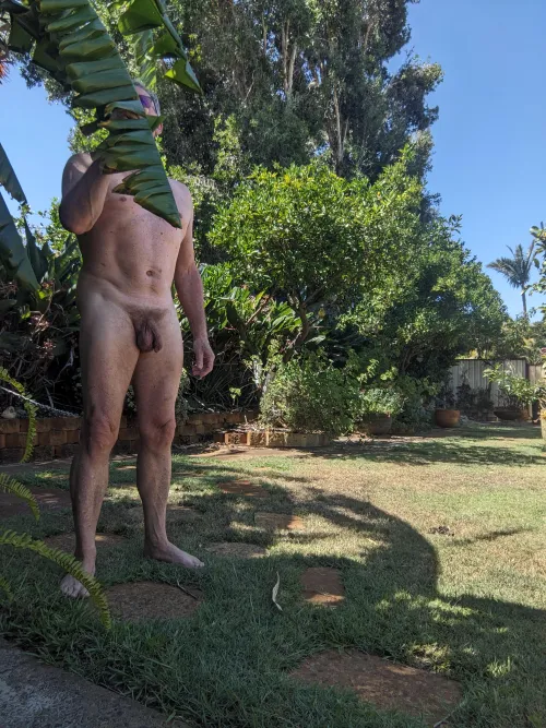 Gardening in February at 27c, beautiful weather.