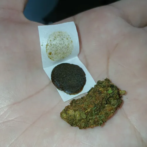 gelo de 50 e flor de 10