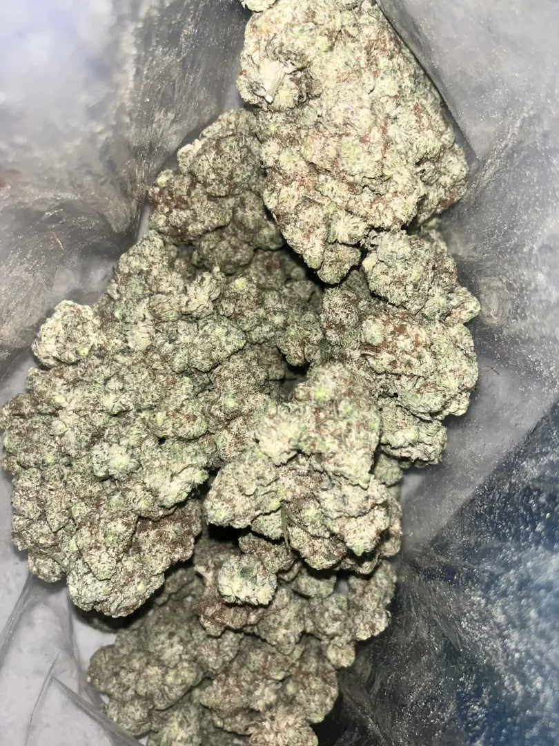 Gg4 