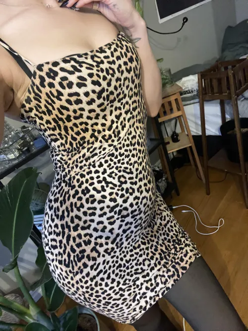 Gillas smala tjejer med leopardklänning? ;)