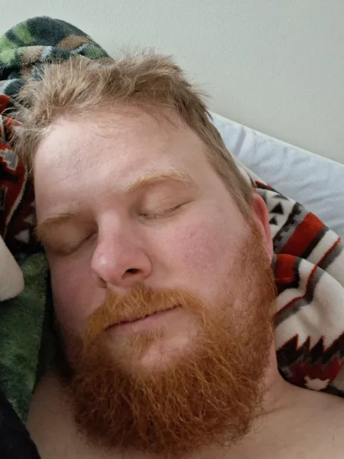 Ginger Bear needs Spoons